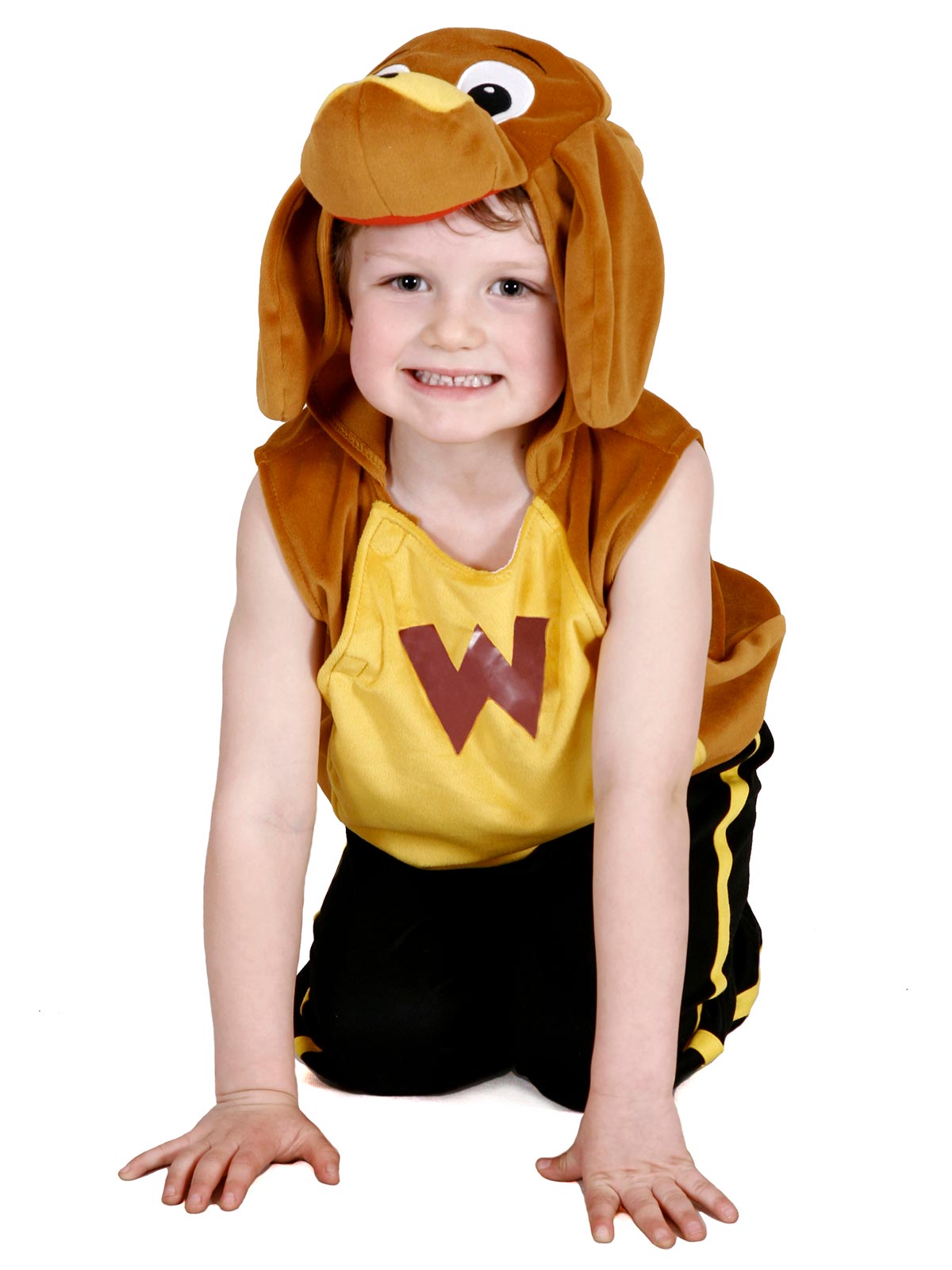 Wags Wiggles Plush Tabard Child Costume