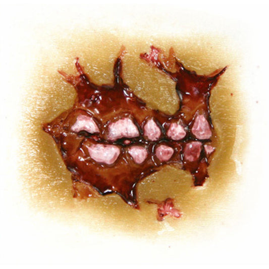 Zombie Cheek Decay 3D FX Transfer Tinsley Temporary Halloween Special FX Make Up (Copy)