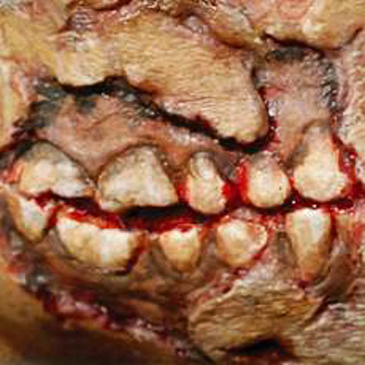 Zombie Cheek Decay 3D FX Transfer Tinsley Temporary Halloween Special FX Make Up (Copy)