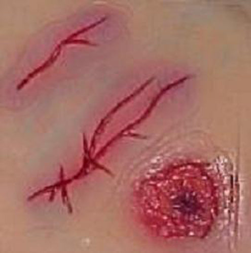 Slashes & Raw Wound Latex Scar Zombie Horror Makeup Special FX Costume accessory
