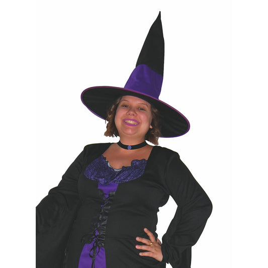 Plus Size Wicked Witch Women's Halloween Fancy Dress Costume