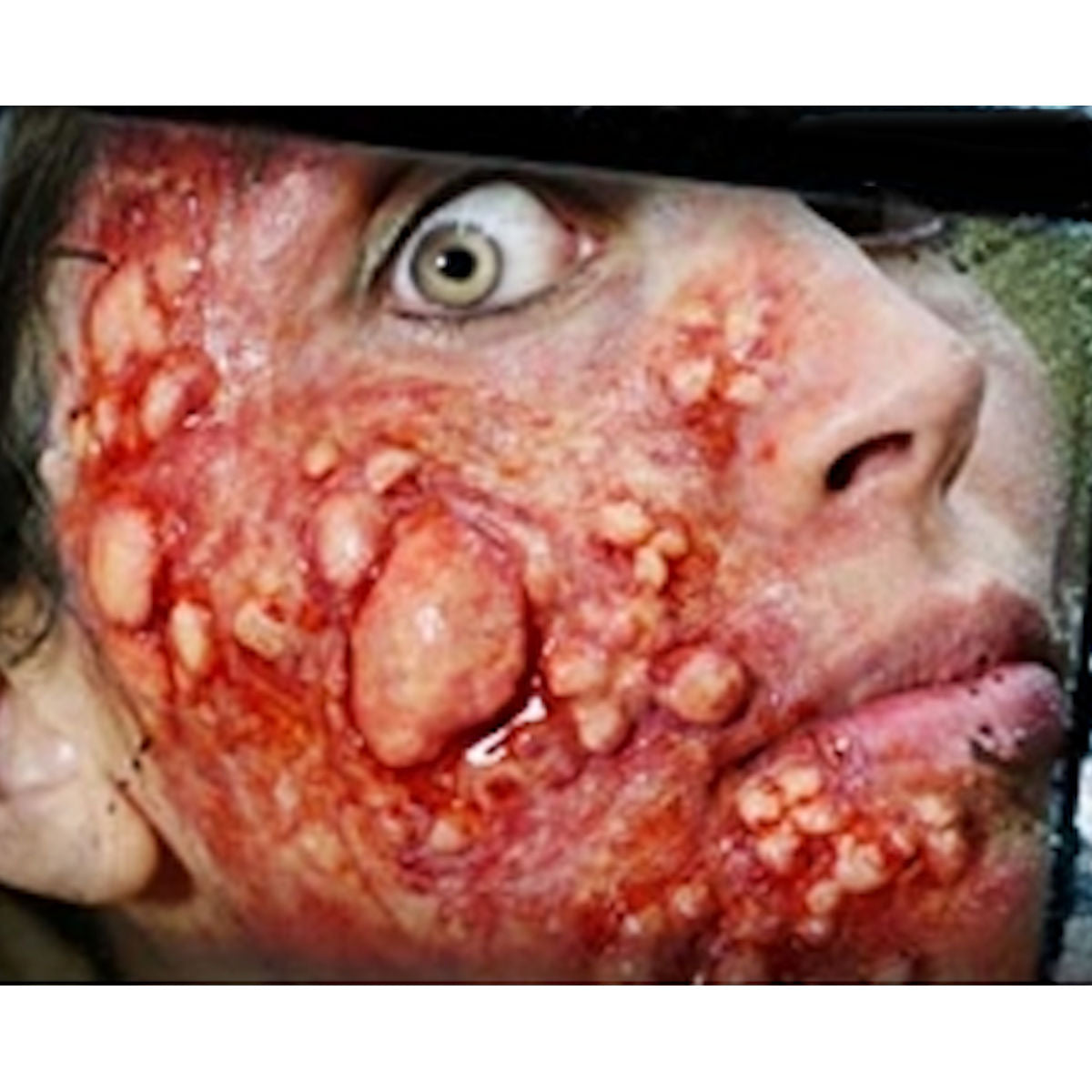 Outbreak 3D FX Transfer Tinsley Prosthetics Halloween Special FX Make Up