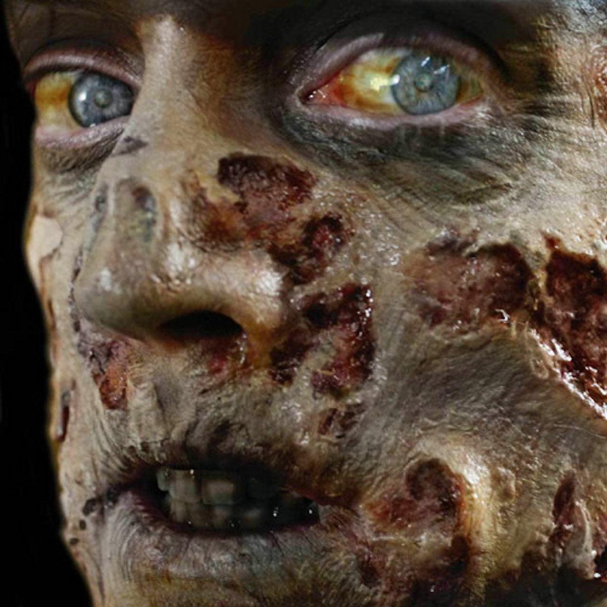 Zombie Flesh 3D FX Transfer Tinsley Temporary Tattoo Halloween FX MakeUp