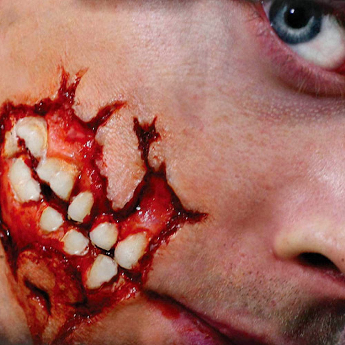 Cheek Decay 3D FX Transfer Tinsley Temporary Zombie Halloween Special FX Make Up