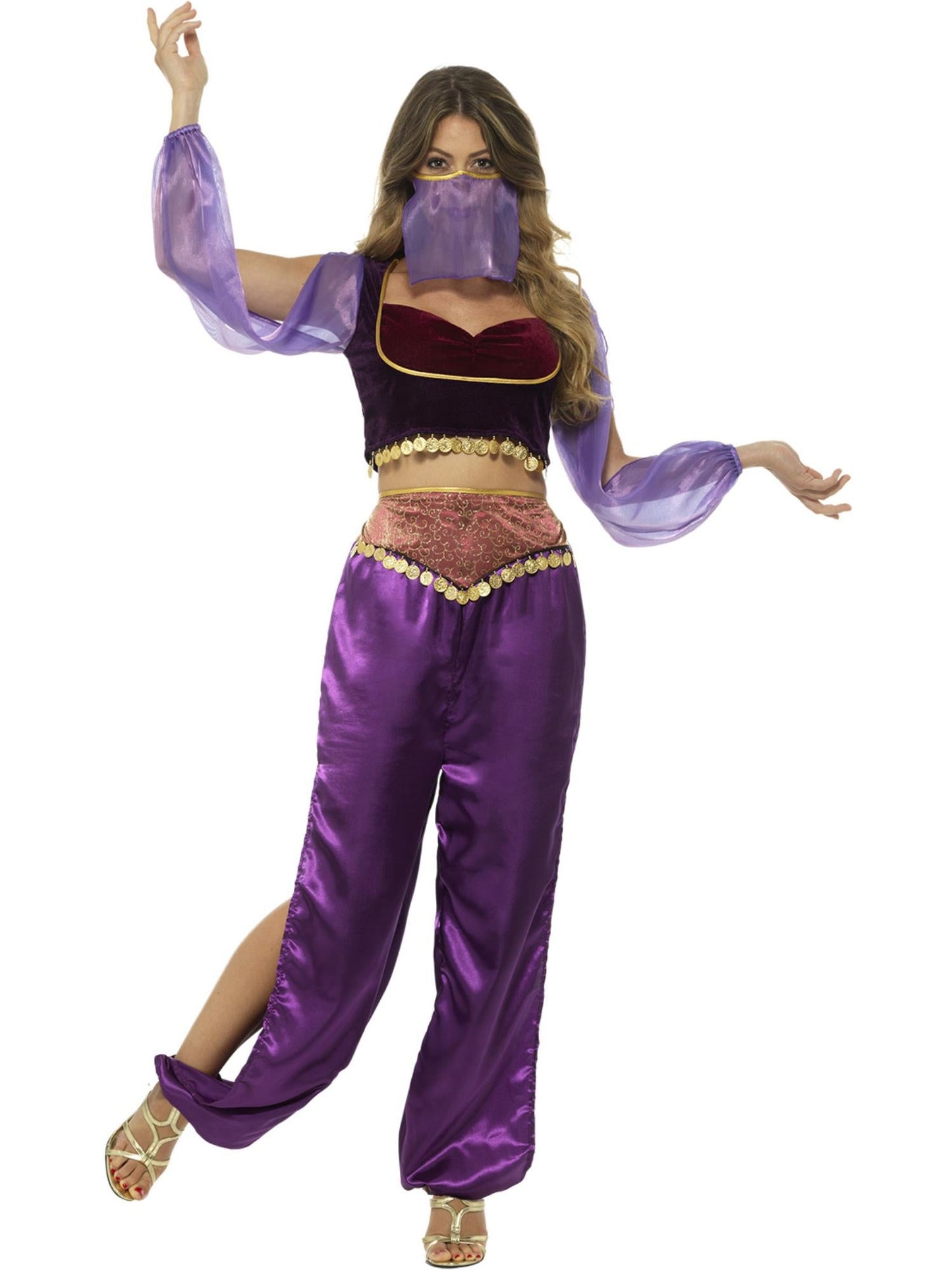Arabian Princess Women's Deluxe Costume