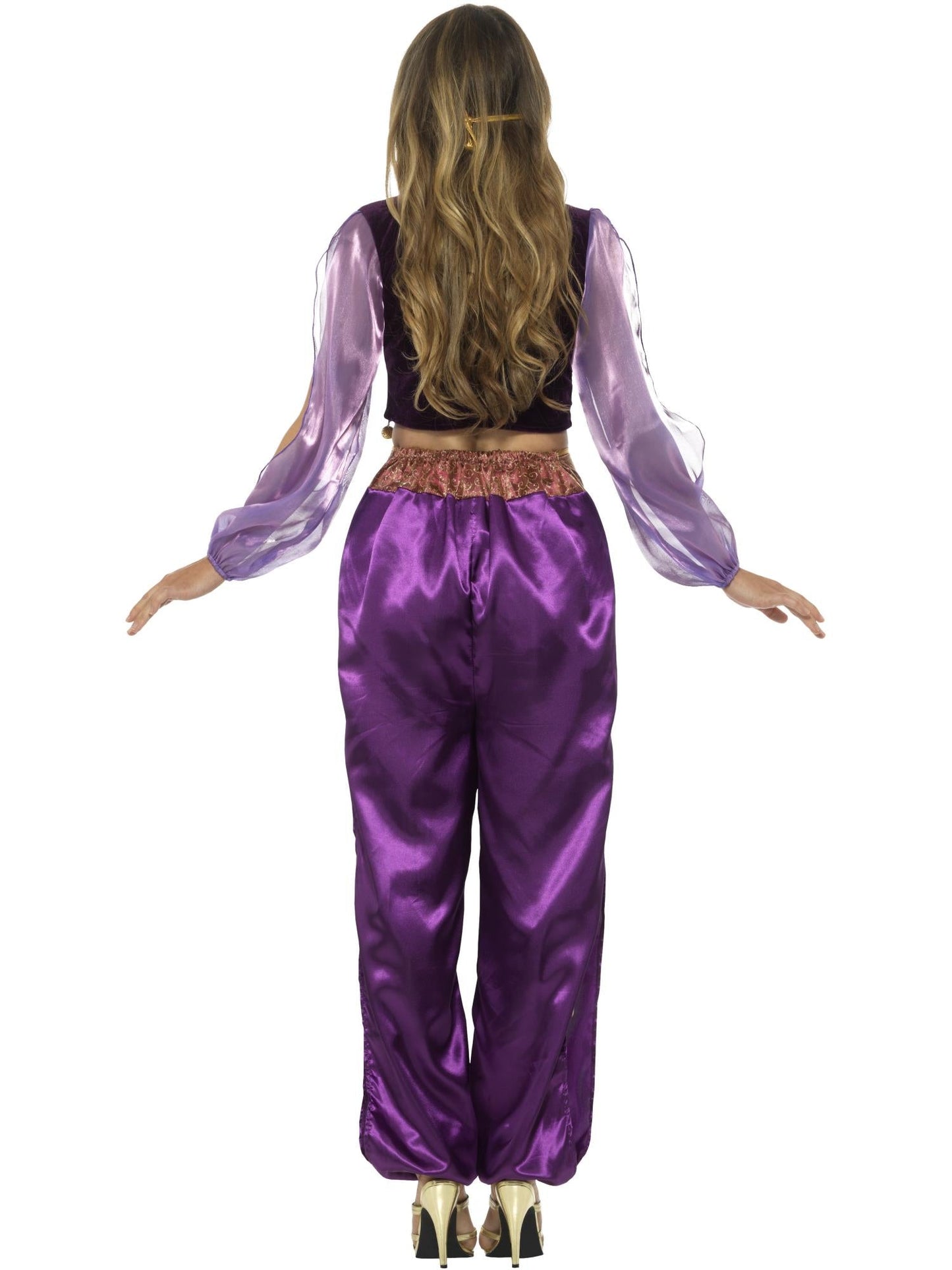 Arabian Princess Women's Deluxe Costume