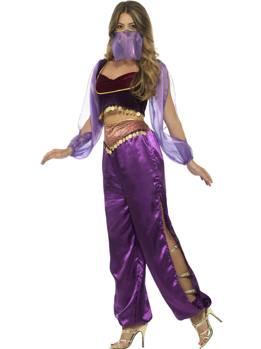 Arabian Princess Women's Deluxe Costume