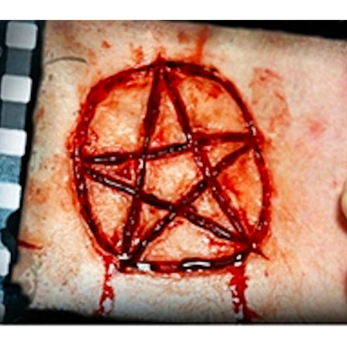 Engraved 3D FX Transfer Tinsley Temporary Tattoo Halloween Special FX Make Up