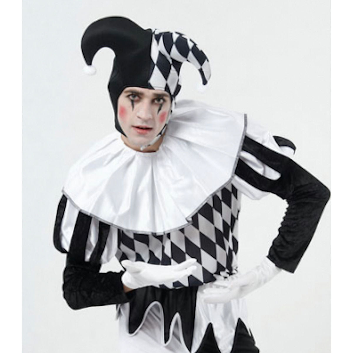 Harlequin Clown Joker Jester Men's Costume Complete Outfit