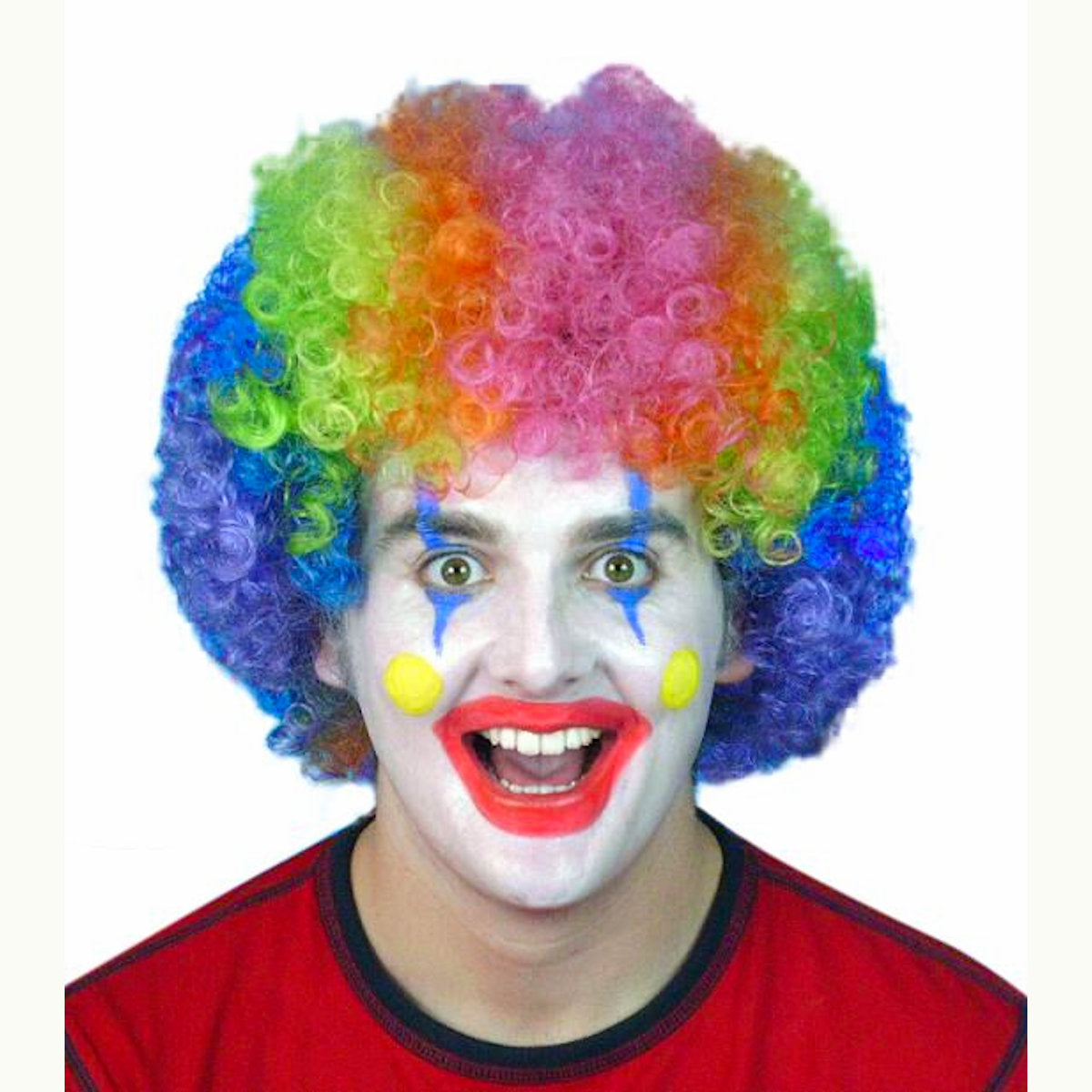Rainbow Colour Clown Curly Wig Fancy Dress Costume party Wig